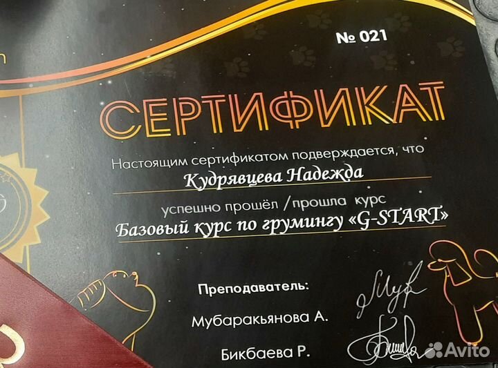 Груминг собак