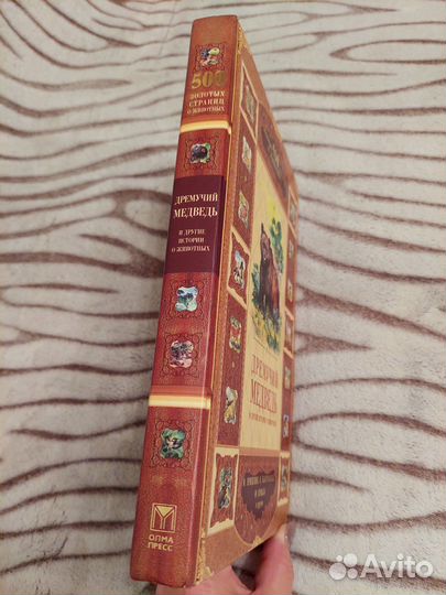 Дремучий медведь и другие истории о животных