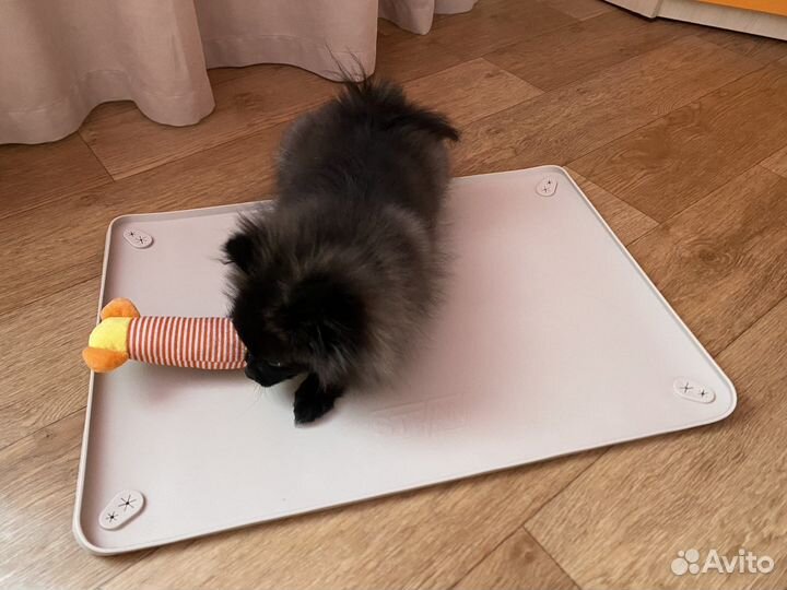 Туалет-коврик силиконовый для собак под пеленку