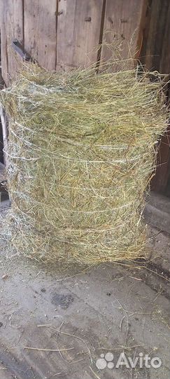 Сено в рулонах