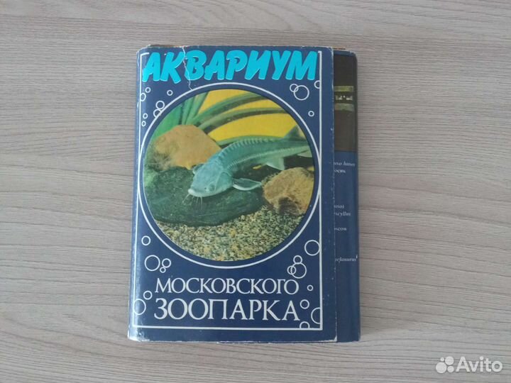 Открытки Аквариум морского зоопарка 1985