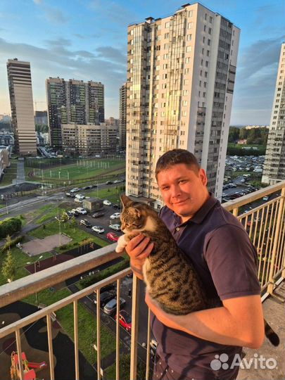 Рассматриваю варианты