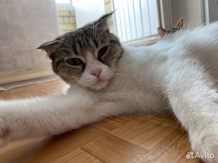 Домашняя гостиница