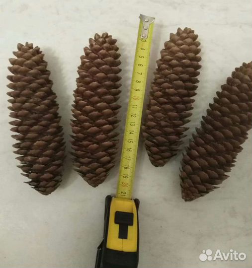 Елочный набор