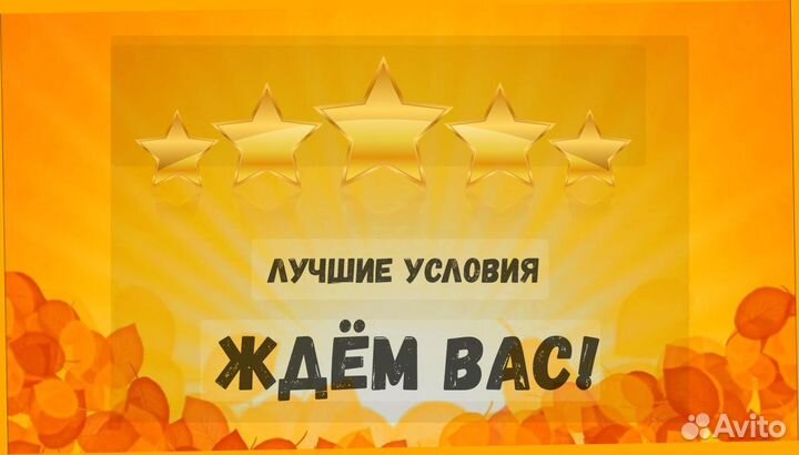 Грузчик Выплаты еженедельно Спец Одежда Развозка без опыта