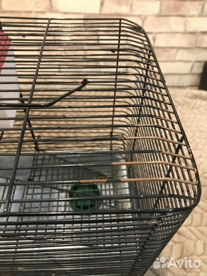 Клетка для хомяка бу