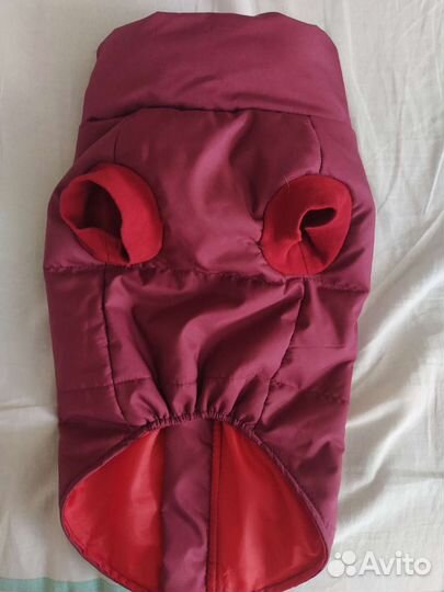 Куртка на осень для собаки