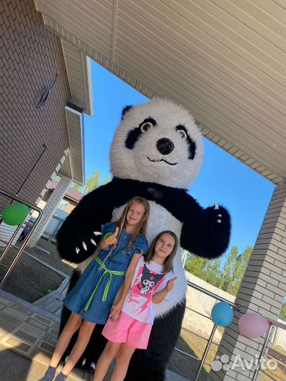 Панда/Аниматоры/Панда поздравление