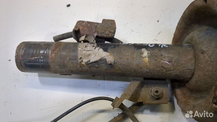 Амортизатор подвески Ford Focus 2, 2007