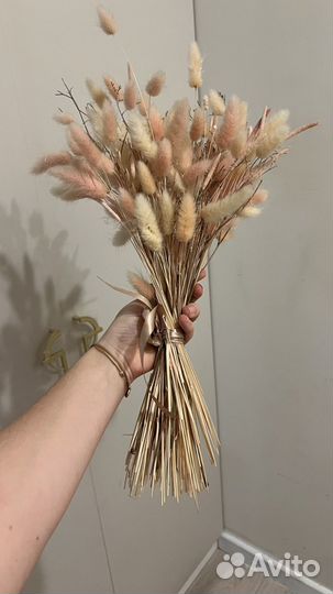 Букет из сухоцветов