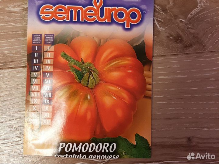 Помидор Costoluto genovese