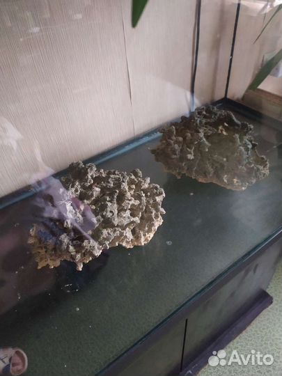 Аквариум с тумбой 250 л