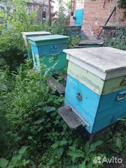 Все для пасеки