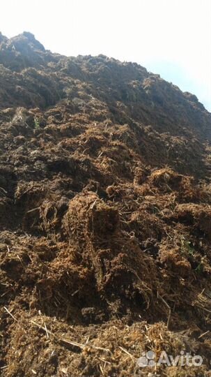 Навоз и перегной в Калининграде