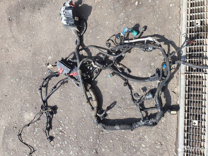 Проводка двигателя форд мондео 4 EcoBoost 2.0