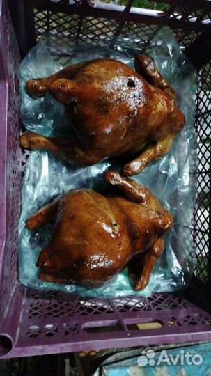 Домашнее мясо курицы