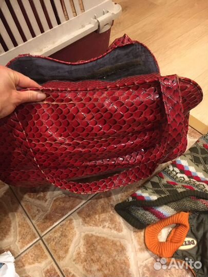 Переноска и одежда для собаки