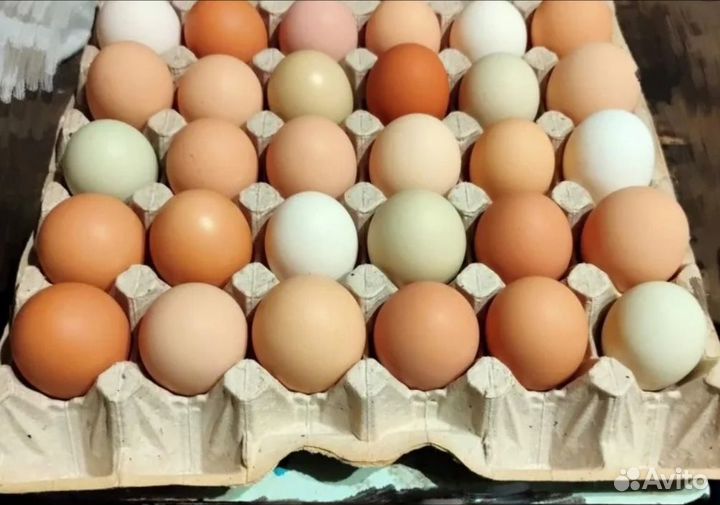 Продам яйцо куриное домашнее