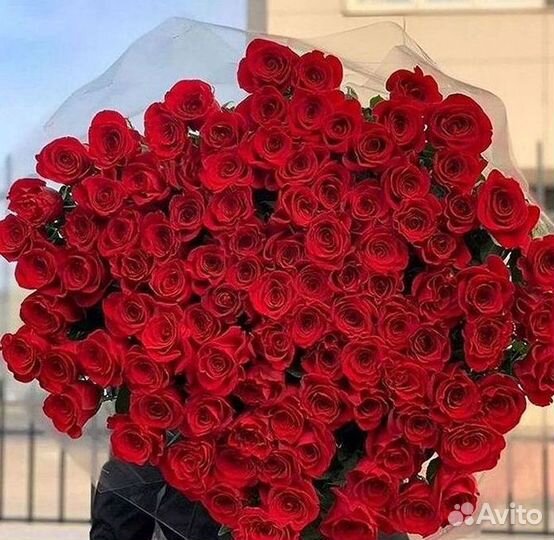 101 Роза Цветы Букеты 51 25 Роз Доставка