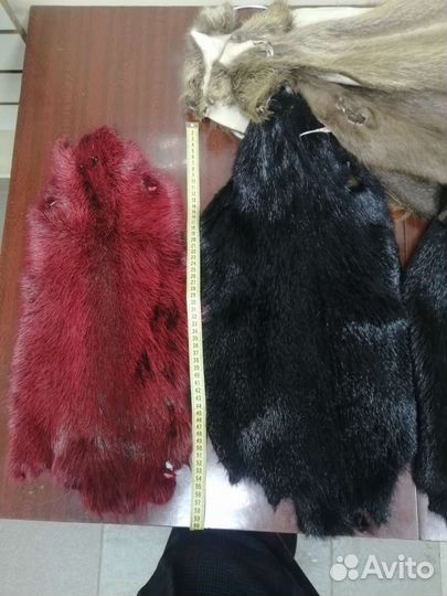 Шкуры нутрии