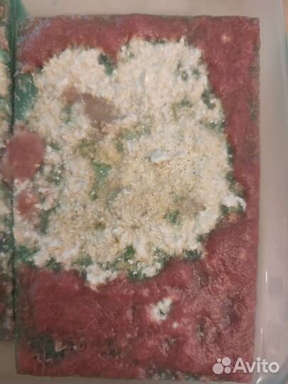 Живые корма для всех видов аквариумных рыб