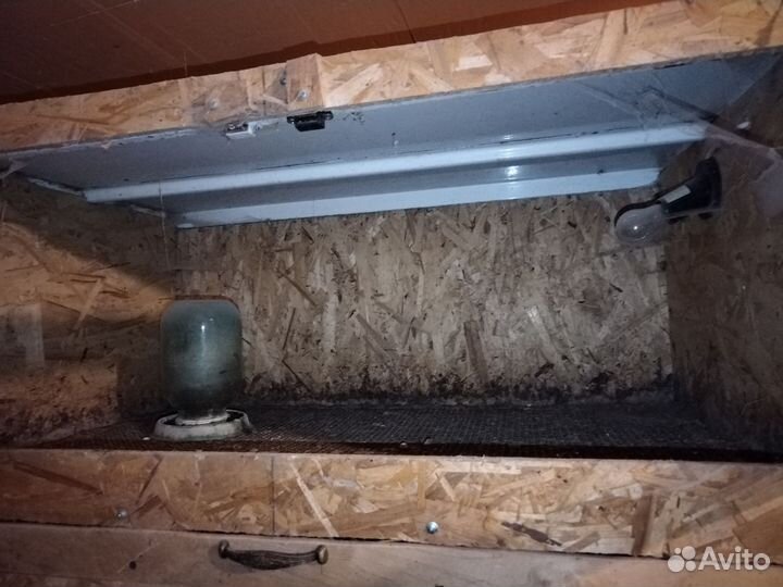 Брудер для цыплят бу