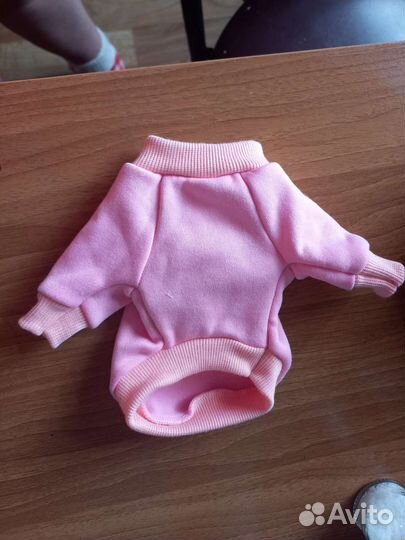 Вещи на той терьера