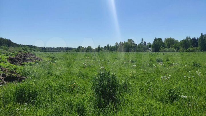 Участок 21,7 га (ИЖС)