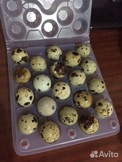Яйца перепелиные столовые отборные, инкубационные