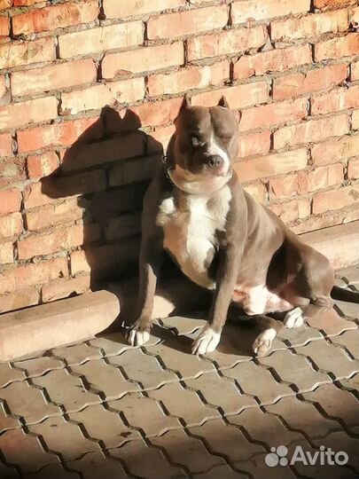 Кабель на вязку