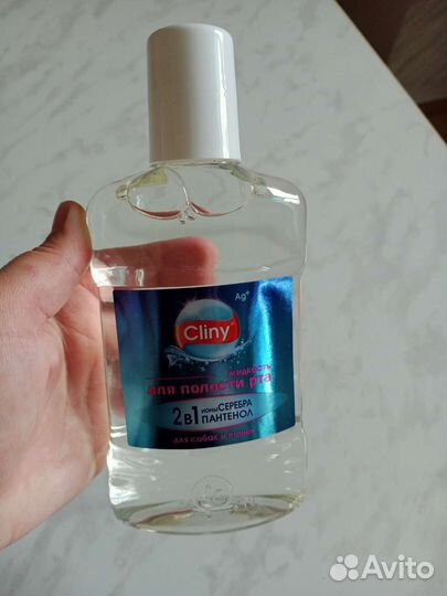 Новые аксессуары для кошек