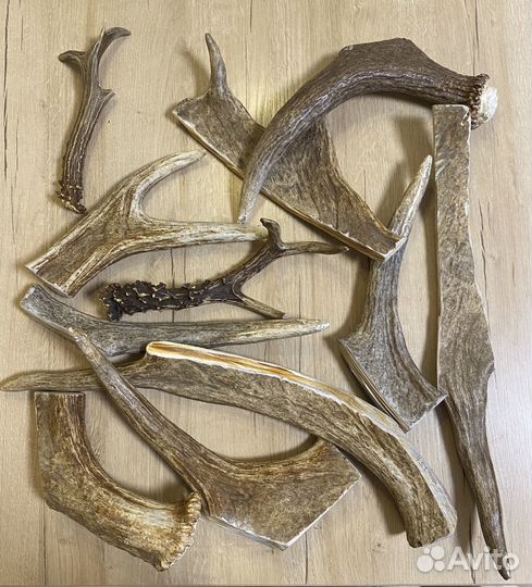 Лакомства для собак