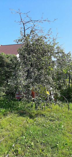 Дача 20 м² на участке 5 сот.