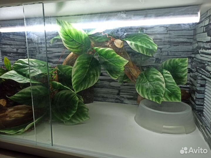 Коряги для террариума