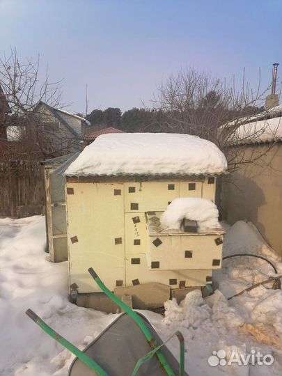 Курятник утеплённый на 15 курочек