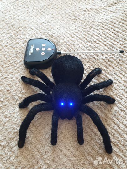 Паук тарантул на радиоуправлении
