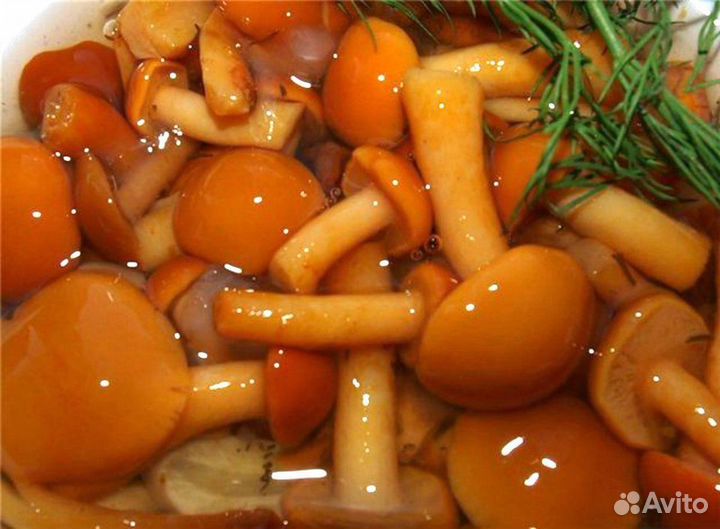 Овощи маринованные и квашеные