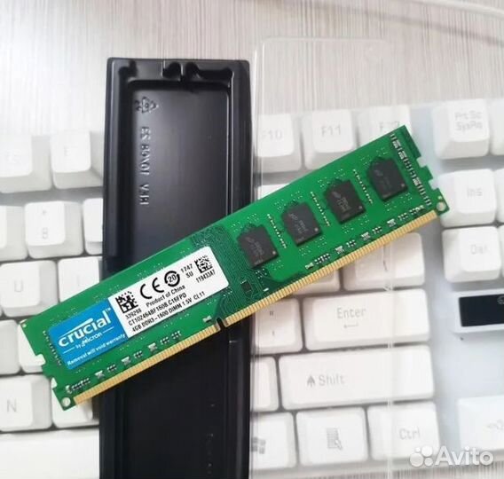 DDR3 1600 MHz 4GB Crucial dimm Новая для пк