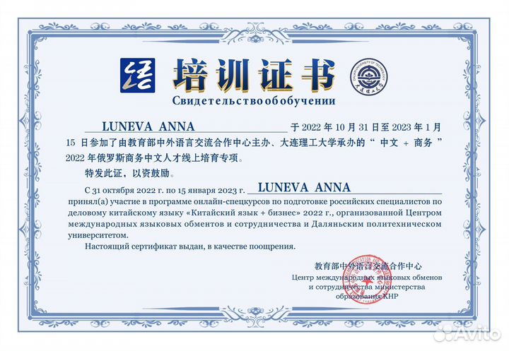 Китайский язык