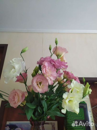 Букет срезка эустомы