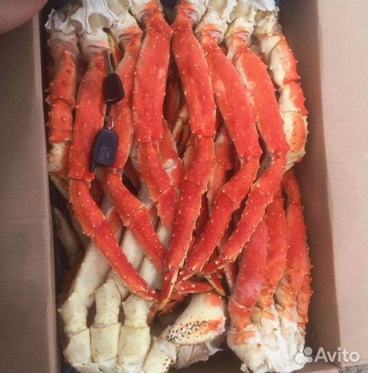 Краб камчатский