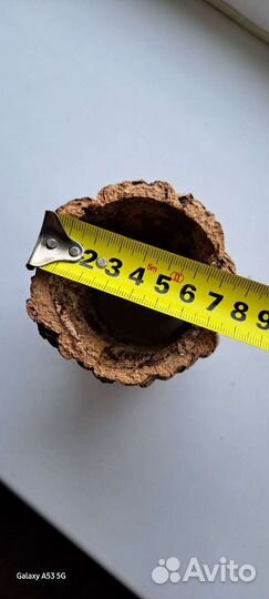 Дом для пауков