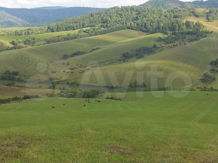 Участок 3,5 га (СНТ, ДНП)