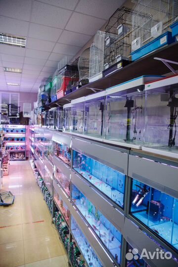 Аквариумы от 4 - 1000 литров, Рыбки и т.д