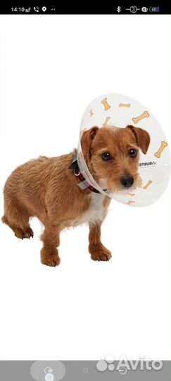 Воротник с дизайном