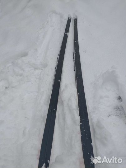 Лыжи беговые Tisa