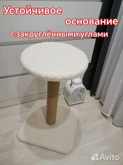 Когтеточка