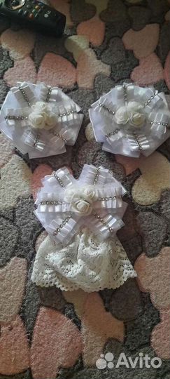 Бант и галстук