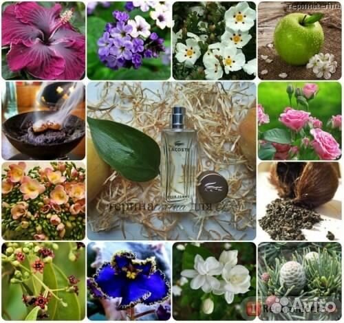 Lacoste pour femme спрей для тела