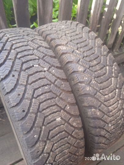 Forward Arctic 710 175/70 R13